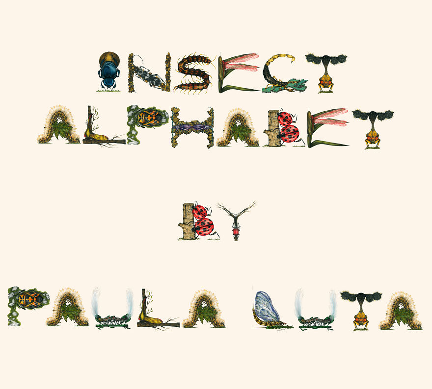 This Insect Alphabet Took Me 2 Years To Complete This Insect Alphabet Took Me 2 Years To Complete