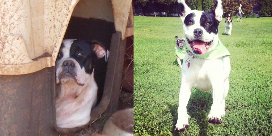 She Saved Me. Juliet ❤