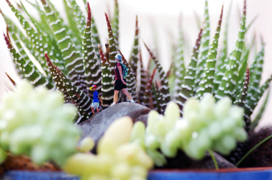 The Macro World In My Backyard