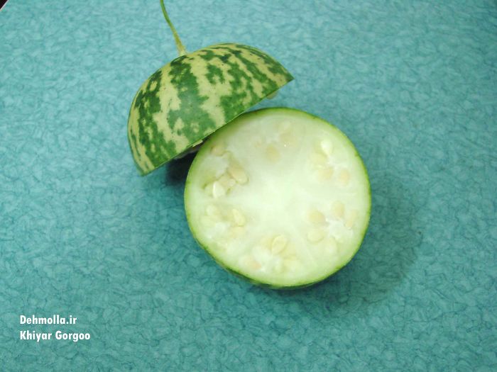 Aboujahl Watermelon (how Do You Call It In English?)