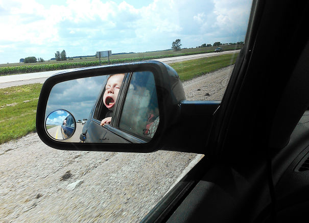 Our Family Doesn't Need A Dog