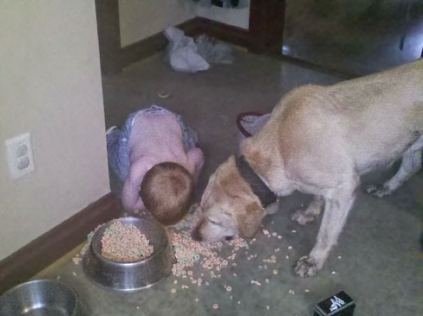 Kid Enjoying A Dogfood Bonanza