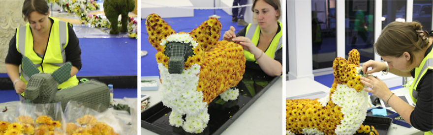 Chicken Wire Floral Corgi