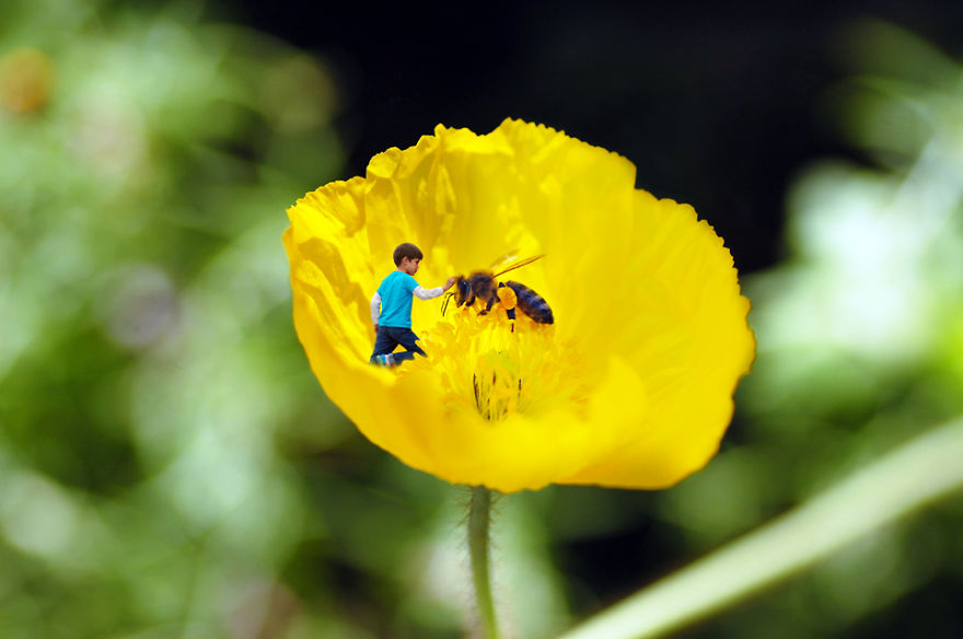 The Macro World In My Backyard