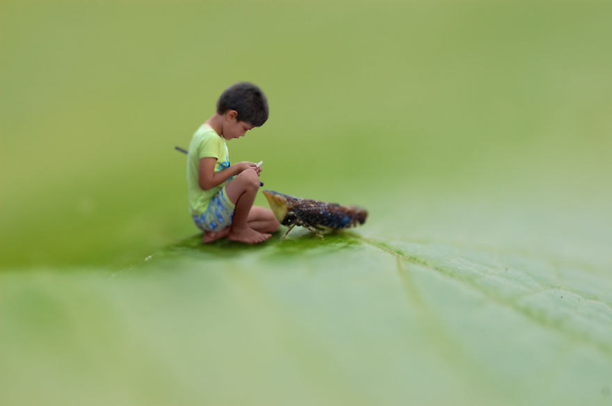 The Macro World In My Backyard