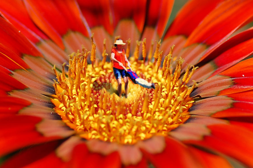 The Macro World In My Backyard