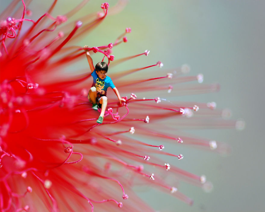 The Macro World In My Backyard