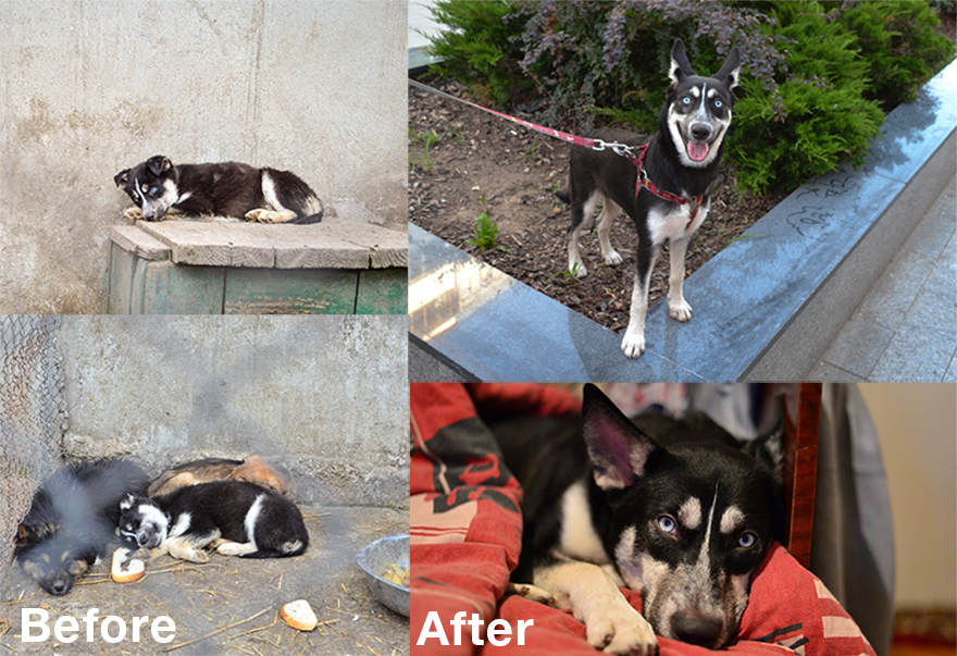 Mara - Blue Eyes Girl