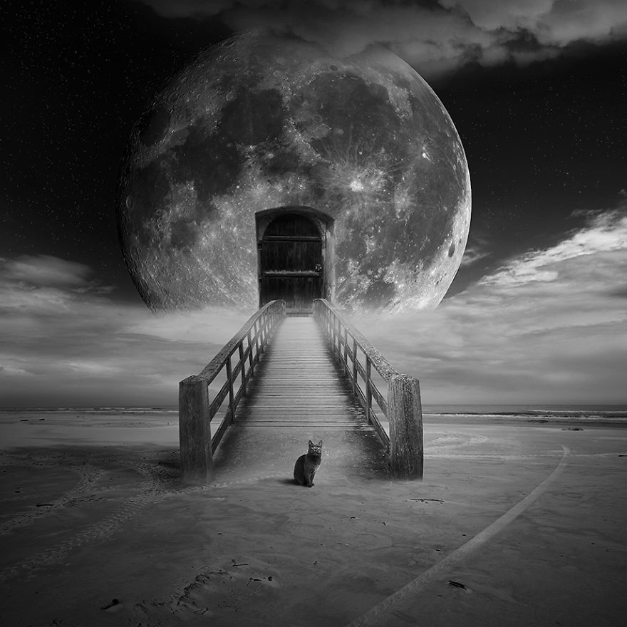 I Create Surreal Illustrations Based On My Darkest Visions And Dreams