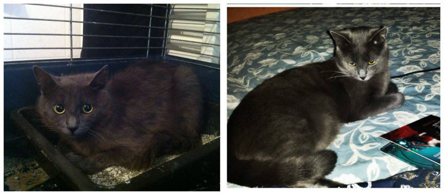 Nureyev 4 Months Apart