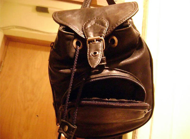 This Bag Looks Uncannily Like Phil Jones