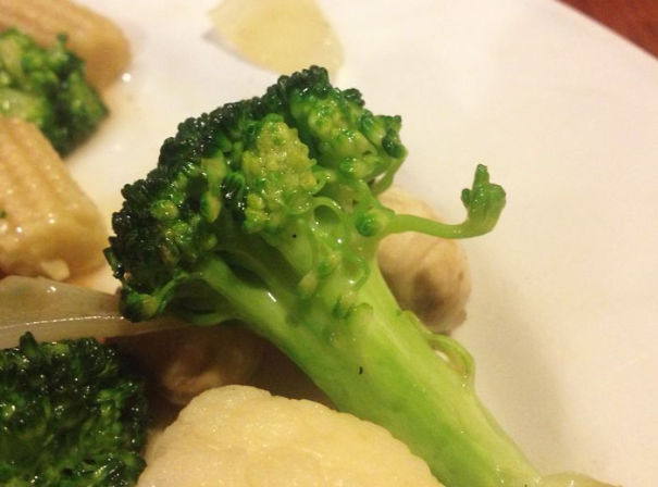 F**k You Too, Broccoli...