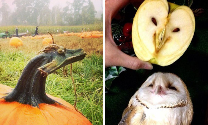 Pareidolia: 192 Faces Hidden In Everyday Objects