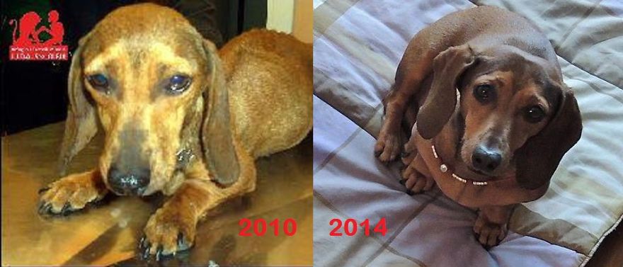 My Pincess Piera From Lida Sez. Olbia - Italy