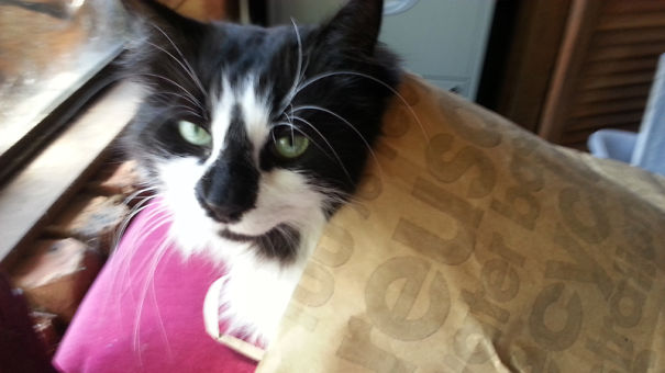 I Help Recycle Bag = Bed