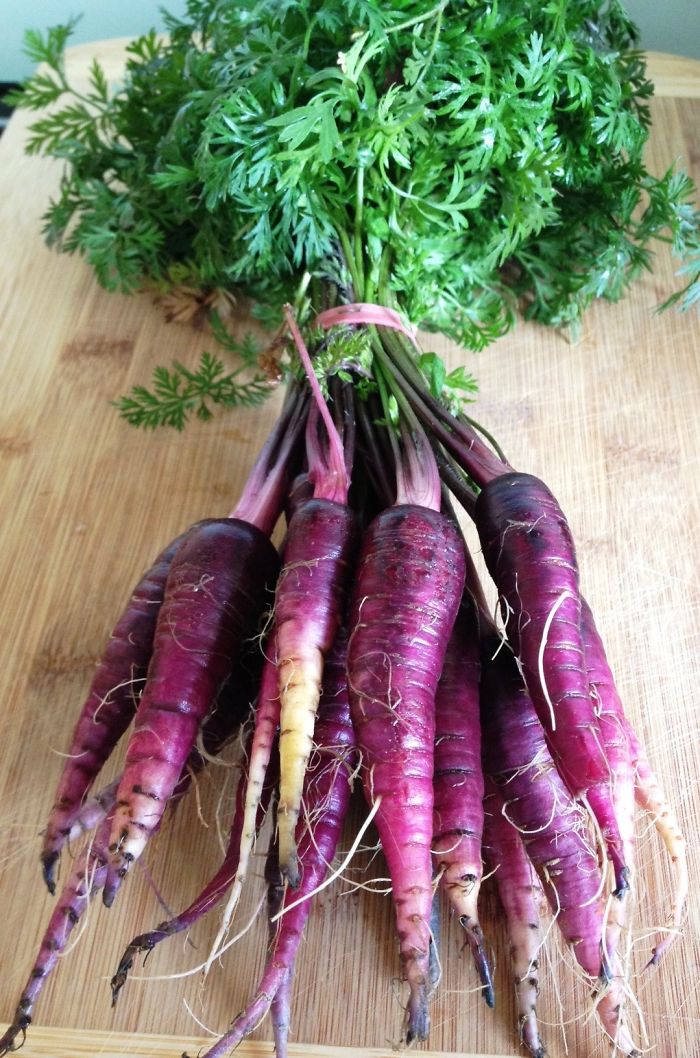 Purple Carrots