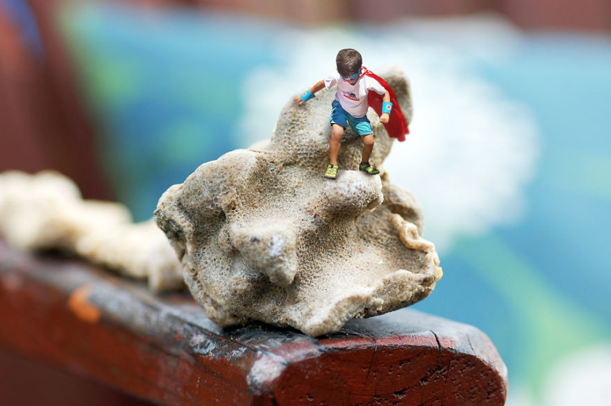 The Macro World In My Backyard