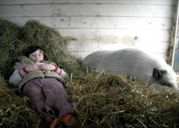 Sleeping Like A Pink Pig...