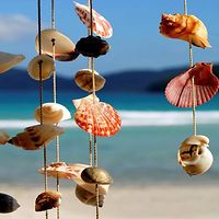 michaela-krahn avatar