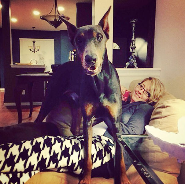 Sirius B. Raleigh, Nc