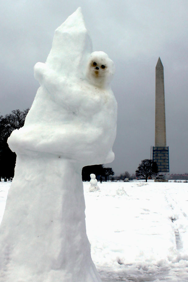 Sloth On The Washington Monument