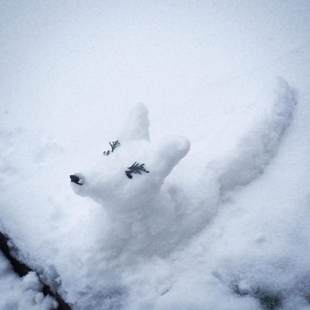 Arctic Snowfox