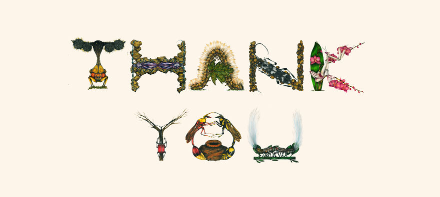 This Insect Alphabet Took Me 2 Years To Complete