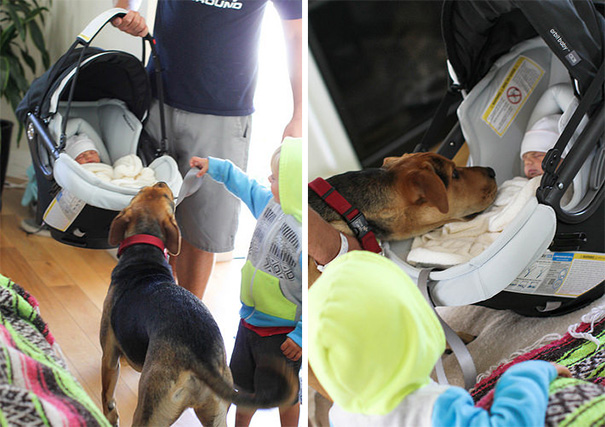 theo-beau-evangelina-evvie-baby-sister-nap-photos-jessica-shyba-6