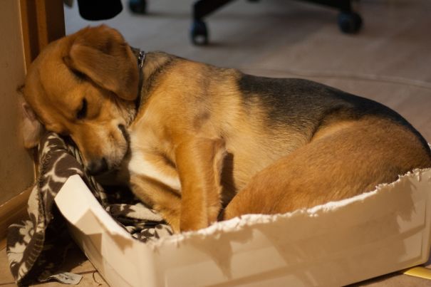 What Has Happened Here?