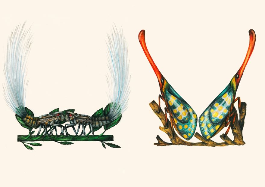 This Insect Alphabet Took Me 2 Years To Complete