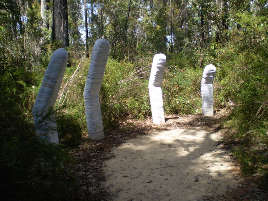 nurture Ii Compressed Annual Reports, 2m High, Cultured Fungi