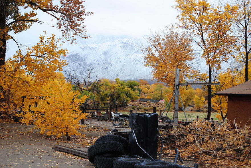 My Backyard Schurz, Nevada