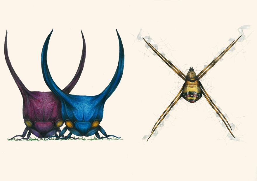 This Insect Alphabet Took Me 2 Years To Complete