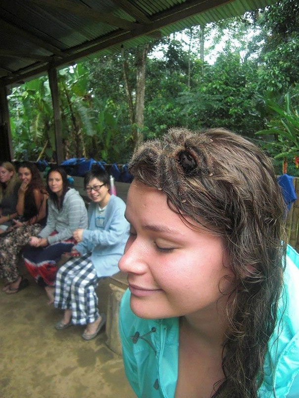 Woman smiling with closed eyes, a large tarantula on her head, surprising group in the background; causes shock moment.