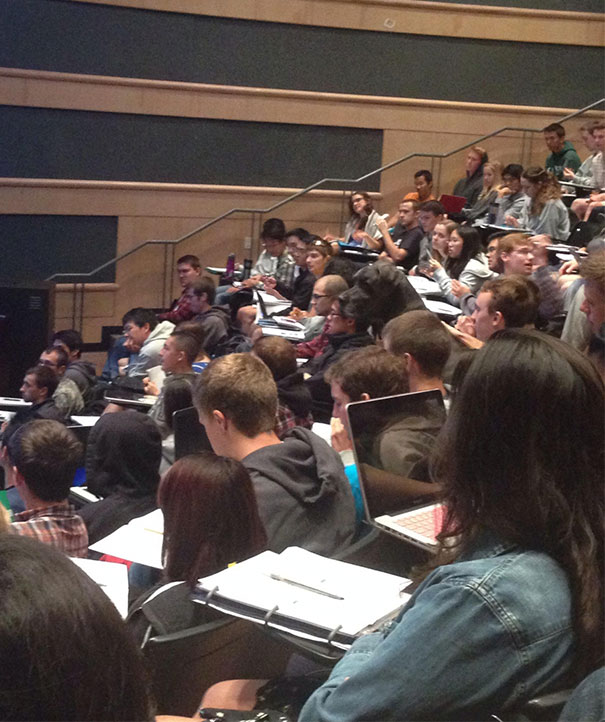 Lecture hall filled with students; a surprising detail hides in plain sight.