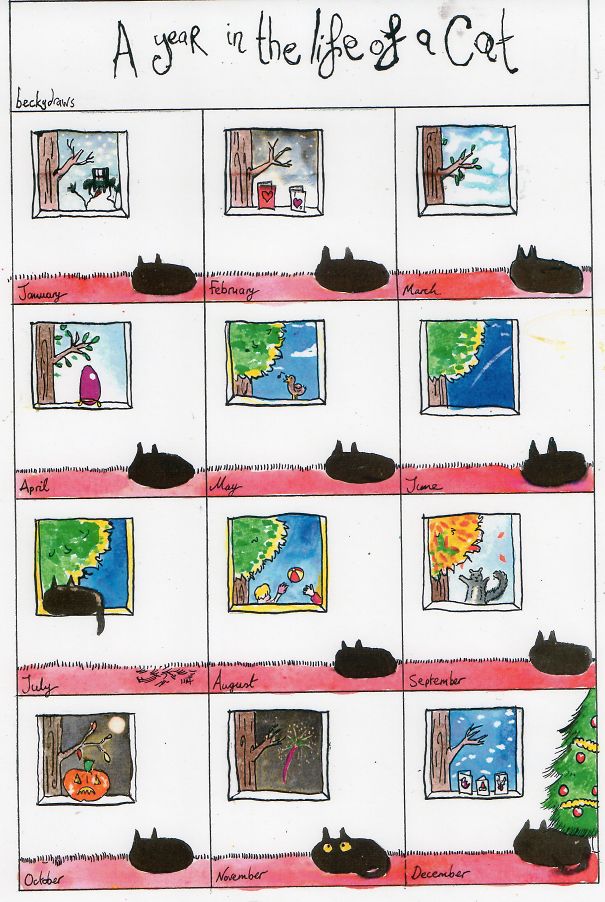 A Year In The Life Of A Cat
