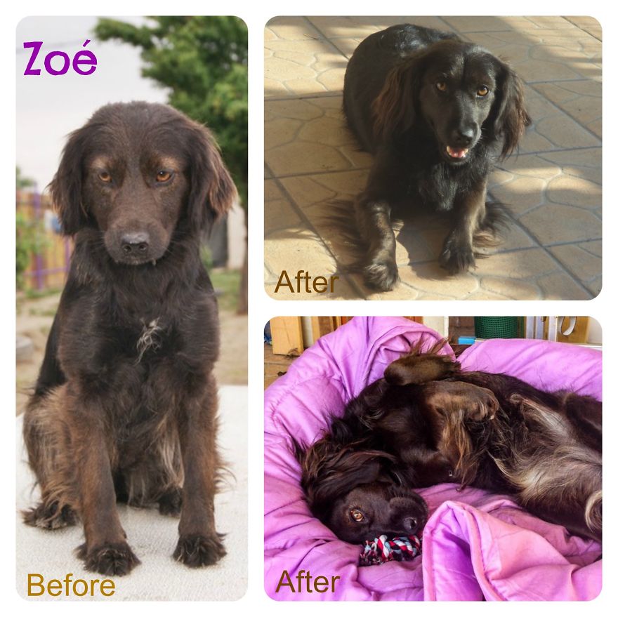 Zoé - The Hungarian Girl