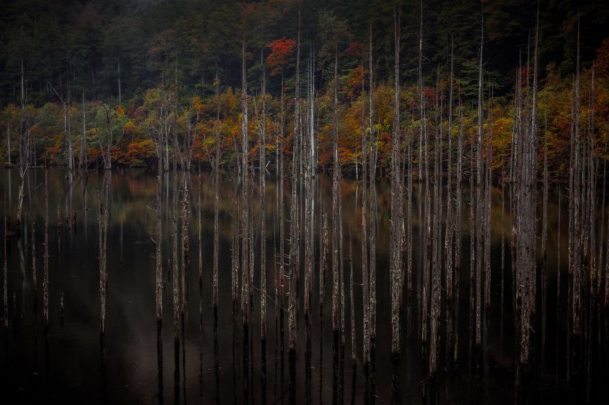 Ontake Pond: Location That Was Born In The Earthquake