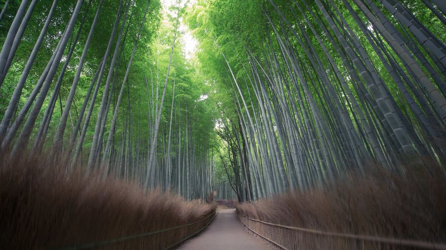 Most Of My Time I Spend Walking In The Forests And Photographing Nature