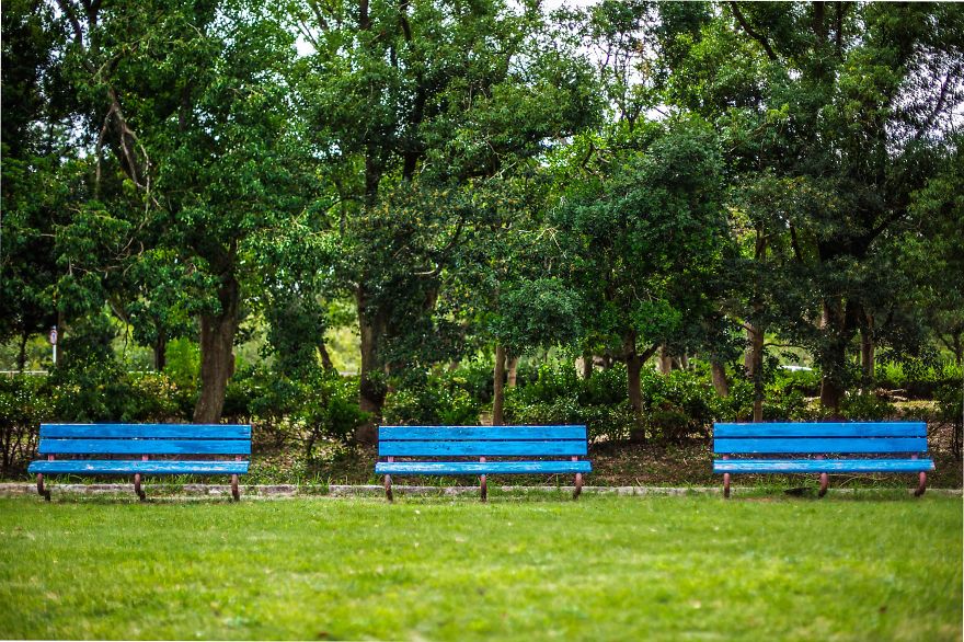 Most Of My Time I Spend Walking In The Forests And Photographing Nature Most Of My Time I Spend Walking In The Forests And Photographing Nature