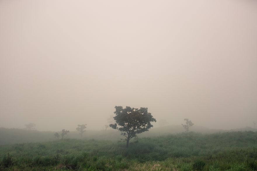 Most Of My Time I Spend Walking In The Forests And Photographing Nature