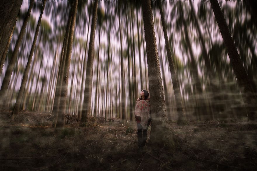 Most Of My Time I Spend Walking In The Forests And Photographing Nature Most Of My Time I Spend Walking In The Forests And Photographing Nature