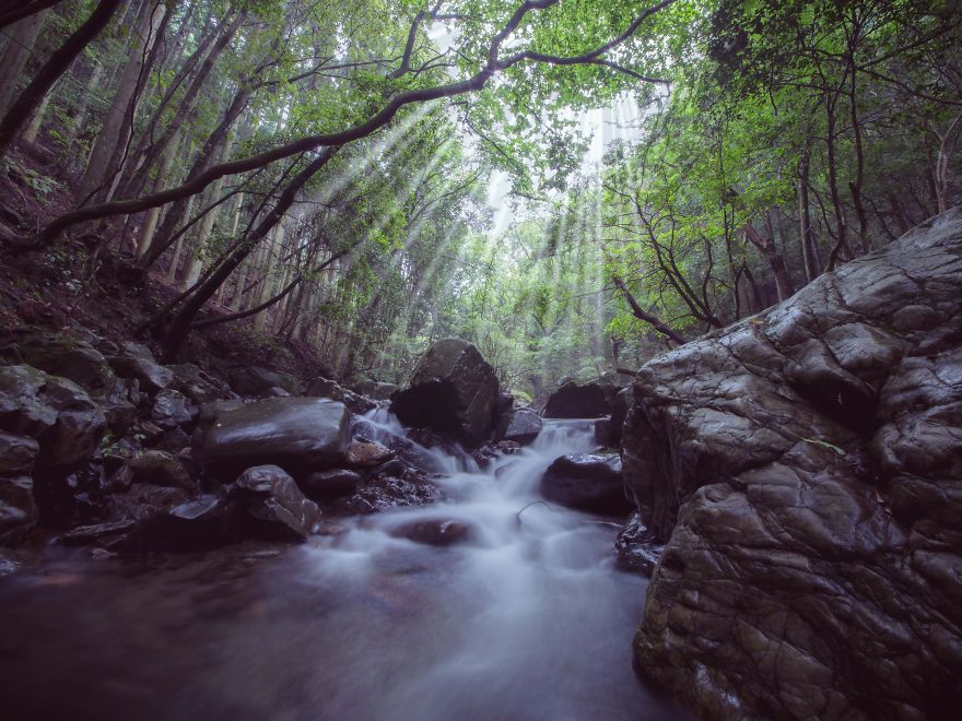 Most Of My Time I Spend Walking In The Forests And Photographing Nature Most Of My Time I Spend Walking In The Forests And Photographing Nature