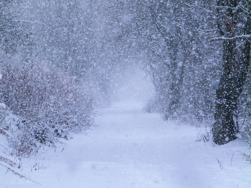 Abandoned Railway Line Near Friockheim, Scotland..