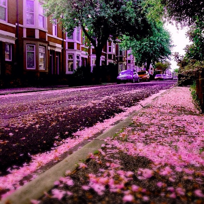 Newcastle Upon Tyne, Uk