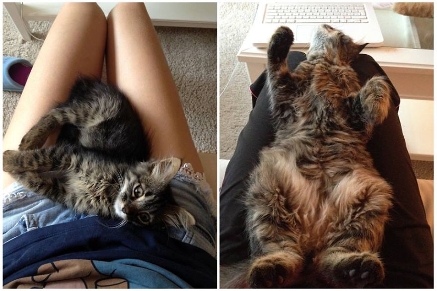 Otis - Three Months Later