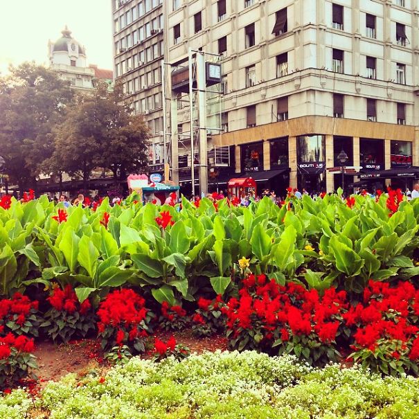 Stunning Instagram Pictures Of Belgrade I Took In The Last 3 Years Stunning Instagram Pictures Of Belgrade I Took In The Last 3 Years