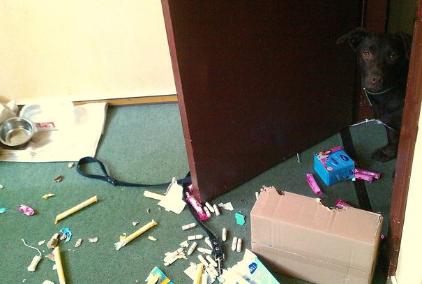 Archibald Gets Acquianted With Feminine Hygiene