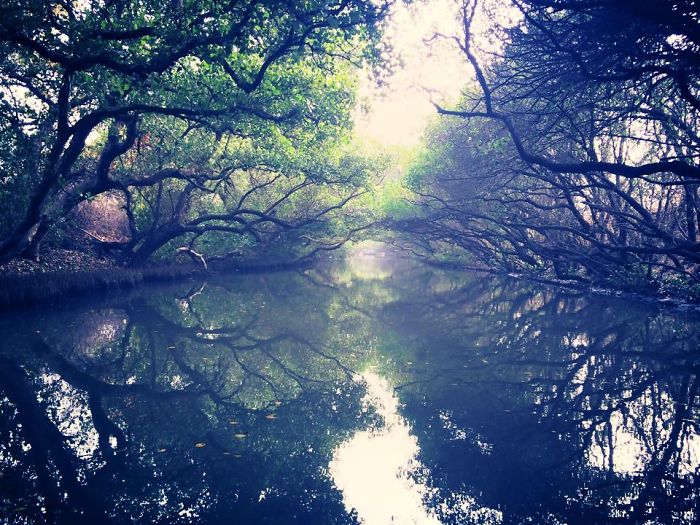 Spring Taiwan Tainan