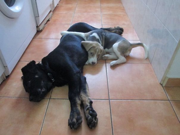 "i Will Miss Him :("